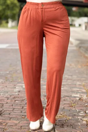 Stylish Brick Colored Sleek Pants