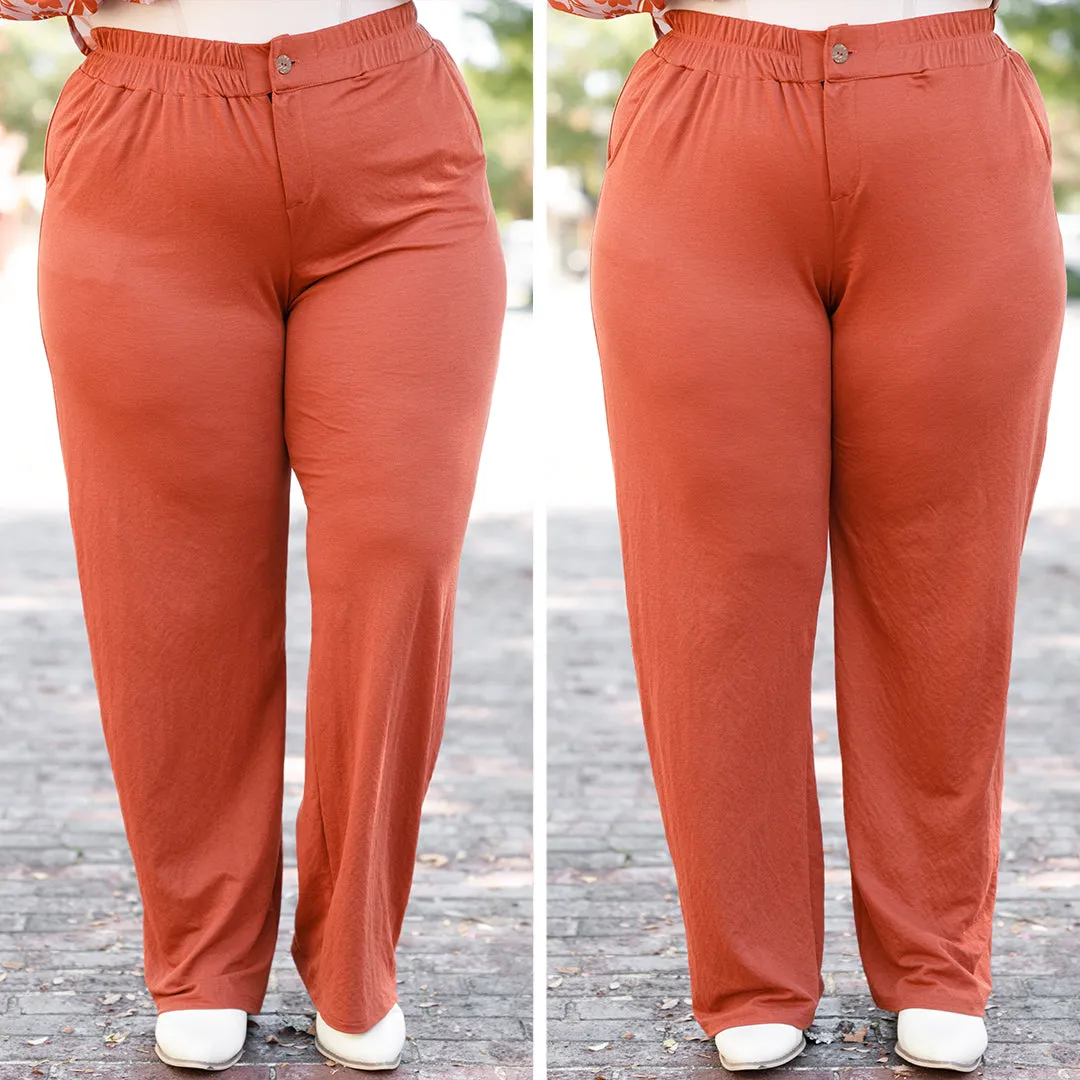 Stylish Brick Colored Sleek Pants